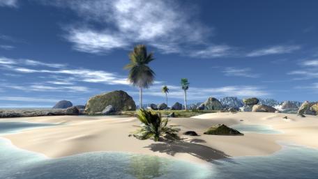 Tropical Serenity at the Shoreline wallpaper