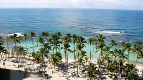 Tropical Paradise by the Sea wallpaper