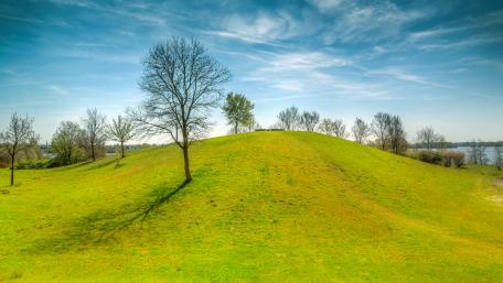 Green mound wallpaper