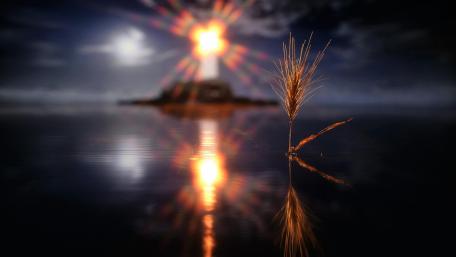 Lighthouse and halm wallpaper