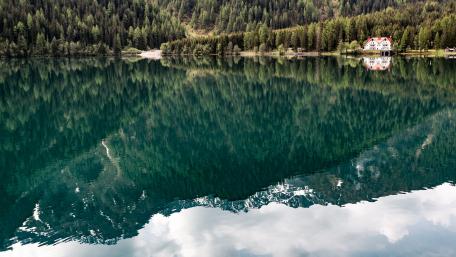 Serene Forest Reflections in Tranquil Waters wallpaper