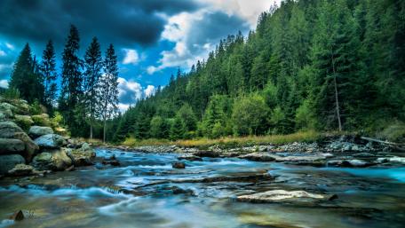 Cloudy sky over the forest creek wallpaper