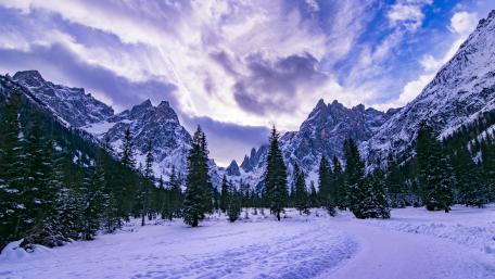 Majestic Winter Wilderness View wallpaper