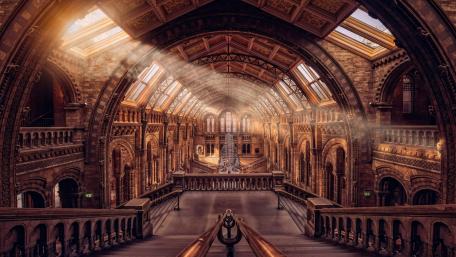 Natural History Museum (London) wallpaper