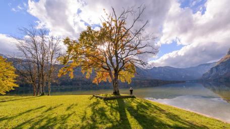 Mountain lake at fall wallpaper
