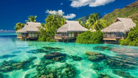 Tropical sunshine wallpaper