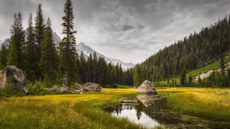 Serene Wilderness Reflection in a Highland Wetland wallpaper