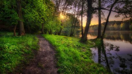 Riverside path wallpaper