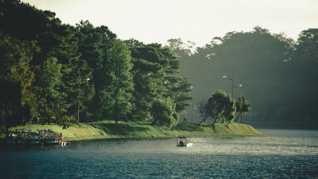 Serene Morning by the Waterway wallpaper