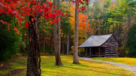 Carter Shields Cabin wallpaper
