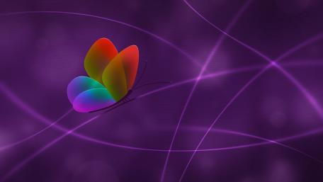 Rainbow Butterfly  - Digital art wallpaper