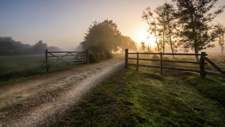Countryside morning wallpaper