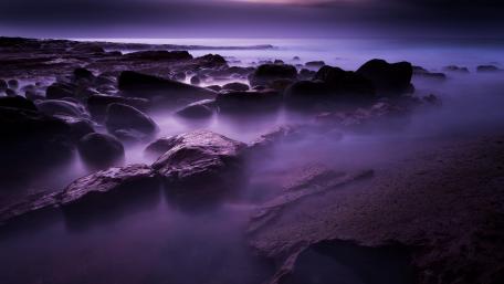 Purple mist wallpaper