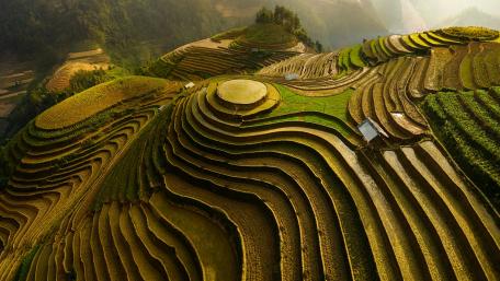 Mu Cang Chai rice terraces wallpaper