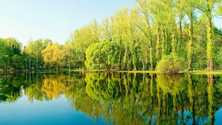 Serene Spring Reflections in Nature's Mirror wallpaper