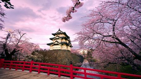 Hirosaki Castle at spring wallpaper