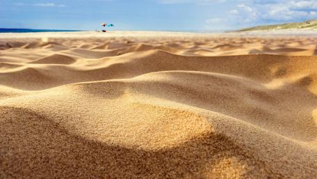 Golden Sand Dunes of Serenity wallpaper