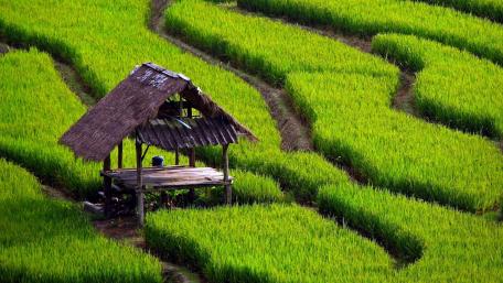 Amazing Laos wallpaper