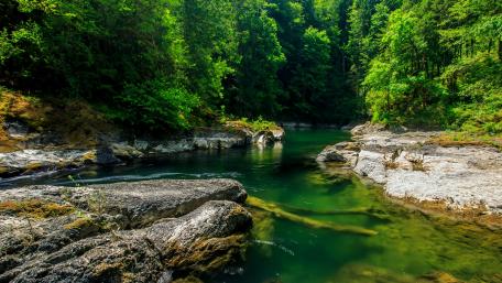 Cowichan River wallpaper