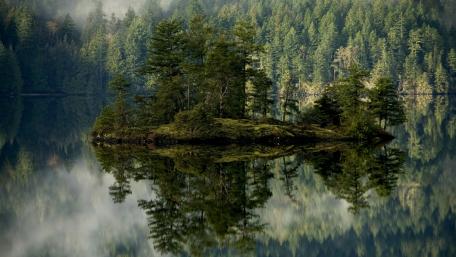 Islet on Eibsee wallpaper