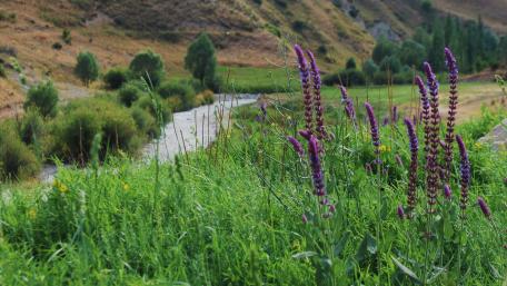 Haraz Road, Iran wallpaper
