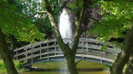 Tranquil Footbridge Amidst Lush Nature wallpaper