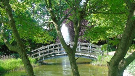 Tranquil Nature Retreat with Serene Bridge View wallpaper
