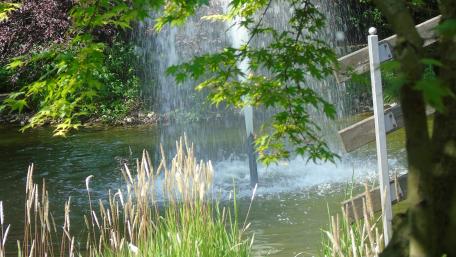 Serene Water Fountain in Nature Reserve wallpaper