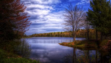 Serene Lakeside Beauty in Vibrant Colors wallpaper