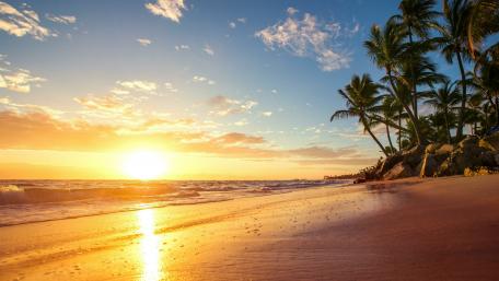Tropical sunrise wallpaper