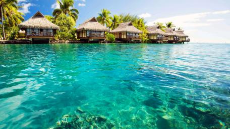 Tropical Paradise in the Bahamas wallpaper