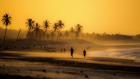 Golden Morning at the Beach wallpaper