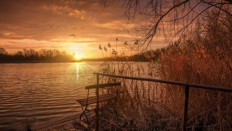 Bench over the lake wallpaper