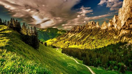 Path in the Swiss Alps wallpaper