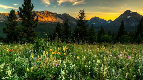 Springtime in the mountains wallpaper
