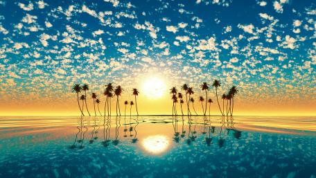 Fantastic sunset over palm trees wallpaper