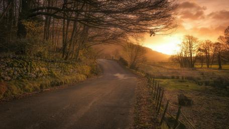 Serene Sunset Path wallpaper