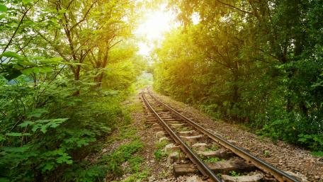Glowing Sunlit Railway Trail wallpaper