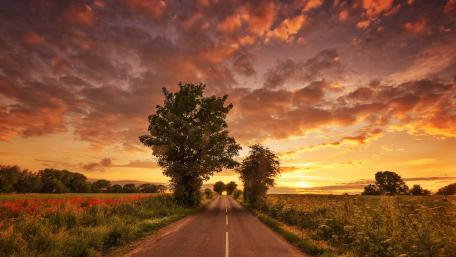 Serene Country Road at Sunset wallpaper