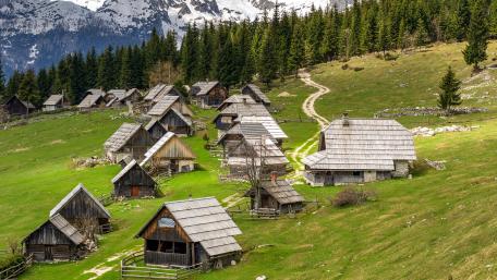 Pokljuka plateau (Triglav National Park) wallpaper