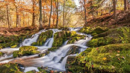 Selkefall in the autumn season (Germany) wallpaper