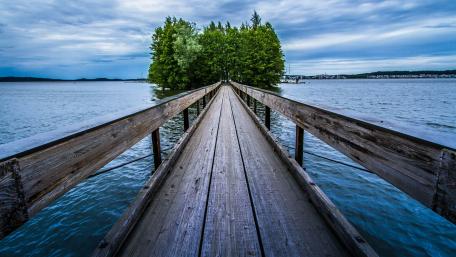 Wooden pier leading to trees wallpaper