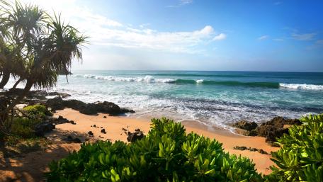 Tropical summer beach wallpaper