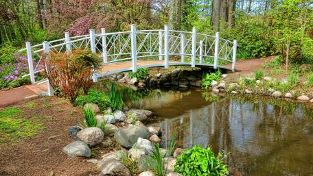 Sayen Park Botanical Garden wallpaper