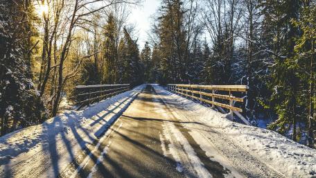 Winter Forest Bridge Serenity wallpaper