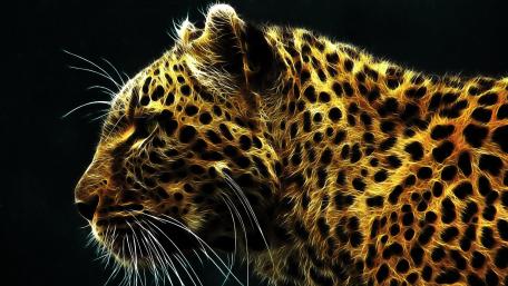 Fierce Leopard in Glowing Profile wallpaper