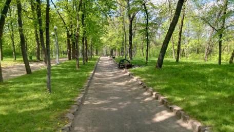 Park in spring wallpaper
