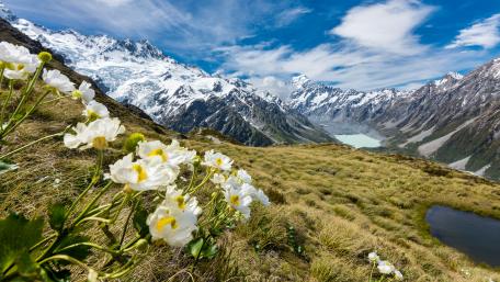 Hooker Valley (Aoraki/Mount Cook National Park) wallpaper