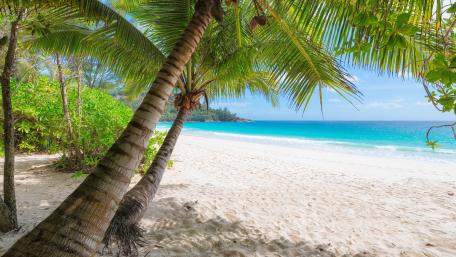White sandy beach wallpaper