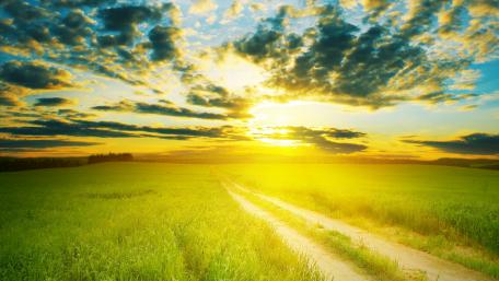 Dirt road in the field wallpaper
